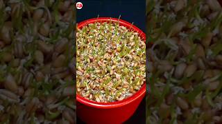 Health Tips  wheat grass 🌾  seed germination  shorts trendingshorts [upl. by Llireva]