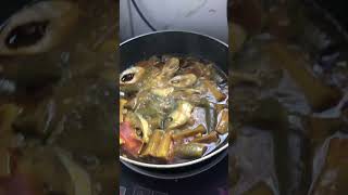 Ilish ranna food hommade cookingfood recipe lunch [upl. by Novel859]