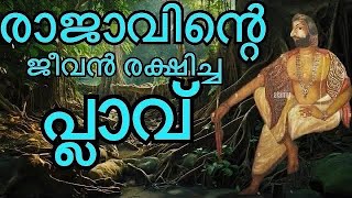 Tree saved the life of Marthandavarma from Ettuveetil pillas  neyyatinkaralTravancore [upl. by Ilan]