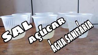 3 Testes caseiros de gravidez  teste da água sanitária  teste do açúcar teste do sal Geeh [upl. by Arrio]