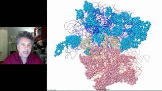 Cinelecture 88  Translation the Ribosome tRNA and the Genetic Code [upl. by Sauers]