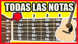 🎸Todas las notas en la GUITARRA  Notas musicales en la guitarra teoría musical [upl. by Htebazil572]