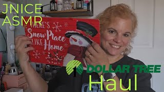 JNICE ASMR Dollartree Haul [upl. by Cullin]