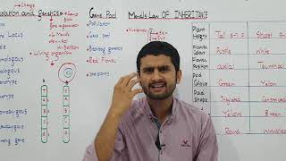 Ch22 Lec1 Variation and Genetics  Gene Pool UrduHindi Lecture MDCAT NEET Fsc Prep By M Bilal [upl. by Mali]