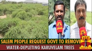 People Request Govt To Remove WaterDepleting Karuvelam TreesProsopis Juliflora [upl. by Adnorrahs]