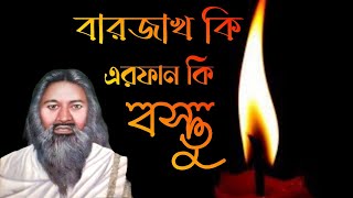 আধ্যাত্মিক আলোচনা। এরফান কি বরজক কি। সৈয়দ রমজান শাহ্।লালন [upl. by Naamana]