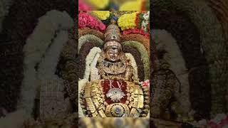 ஓம் நமசிவாய l Sivan Video sivan shiv Tiruvannamalai annamalaiyar girivalam arunachalam lord [upl. by Gaudet]