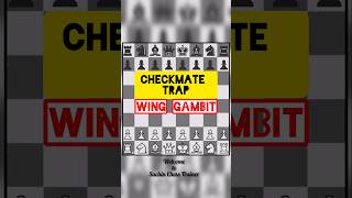 🔥 CHECKMATE TRAP 🔥 Wing Gambit 😲 shorts [upl. by Sneve452]