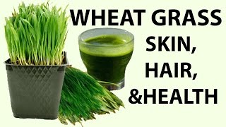 Best Benefits Of Wheatgrass For Skin Hair And Health [upl. by Elleret215]