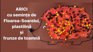 🦔 ARICI 🦔 cu seminte de 🌻 FloareaSoarelui 🌻 plastilina si 🍁🍂frunze de toamna 🍂🍁 [upl. by Nannerb]