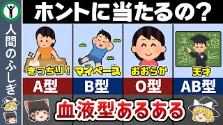 【血液型あるある】科学者が1万人を調べて分かった衝撃的な事実とは？【ゆっくり解説】 [upl. by Nim]