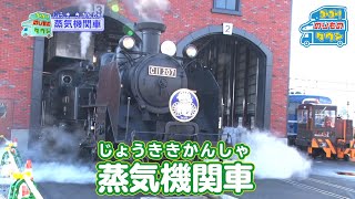 【のりもの図鑑】蒸気機関車 [upl. by Alvy]