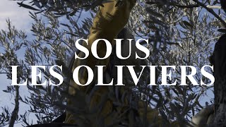 Sous les oliviers Documentaire [upl. by Estrella]