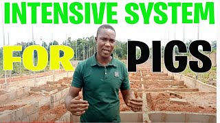 What Does It Take to Construct an Intensive Pig Farm find out in Details [upl. by Sineray]