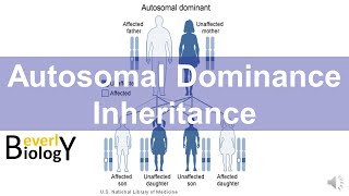 Autosomal Dominance Genetic Inheritance story based [upl. by Vinita]