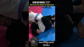 SAIDA TOP DA MONTADA NO JIU JITSU [upl. by Eserrehs]