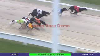 Virtual Race Night Dog  Greyhound Race [upl. by Broome905]