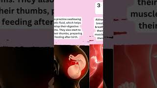 Activities babies can do in womb during pregnancybabygrowth pregnantyoutubeshort [upl. by Silverts]