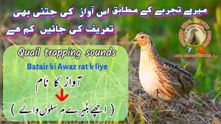 Batair ki vip Awaz  Batair ki night Awaz  nighttime Batair [upl. by Aicul]