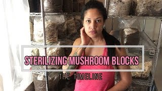 Sterilizing Mushroom Blocks Timeline from Start to Finish [upl. by Bunnie]