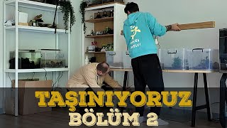 TAŞINMADA BÜYÜK ADIM  BÖLÜM 2 [upl. by Leumek]