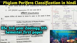 Classification of Phylum Porifera in hindi  BSc 3rd year Zoology 5th Semester first paper [upl. by Fairman]