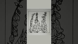 Drawing Foxglove Flowers art meditativedrawing drawing mindfulart flowers [upl. by Yearwood]