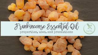 Frankincense Essential Oil [upl. by Acinna]