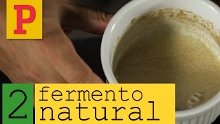 Como fazer fermento natural  Vídeo 2 [upl. by Cuthbert]