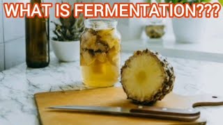 What does Fermentation mean [upl. by Nesiaj]