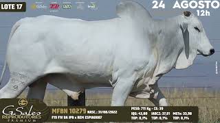 LOTE 17 MFBN 10279 [upl. by Corby]