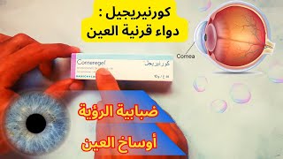 معلومات دواء القرنية كورنيريجيل Corneregel [upl. by Vallie]