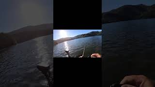 Missed the big one fishing smallmouthbassfishing smallmouth bassfishinglife fish basslake [upl. by Asecnarf110]