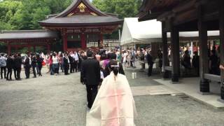 Traditional Japanese Wedding Part 1 at Tsuruoka Hachimangu Temple Kamakura Japan [upl. by Harolda258]