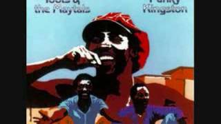 Toots amp The Maytals  I Cant Believe [upl. by Zorana]