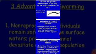 Bsc part I Zoology Topic phylum Annelida part 2 [upl. by Zacarias]