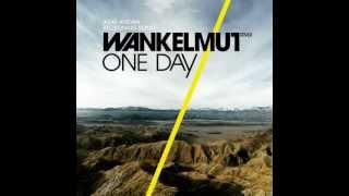 Asaf Avidan amp the Mojos  One Day  Reckoning Song Wankelmut Remix Club Mix [upl. by Helenka437]