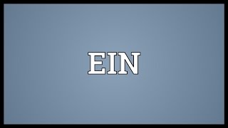 EIN Meaning [upl. by Phineas]