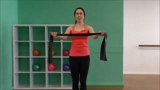 12 Minute Theraband Shoulder amp Back Strength Workout [upl. by Magree]