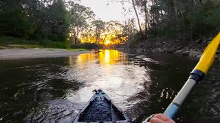 Kayak fishing for Murray cod at sunset [upl. by Darnell]