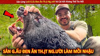 Săn Lùng Loài Gấu Đen Ăn Thịt Người Và Cái Kết Không Thể Tin Nổi  Review Giải Trí Đời Sống [upl. by Haramat600]