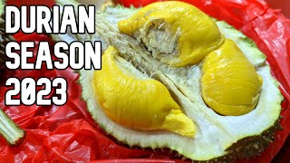 Durian Season Singapore 2023 12kg MSW [upl. by Uzziel]