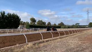 Full Force Gale and Turffontein Filly [upl. by Noirb456]