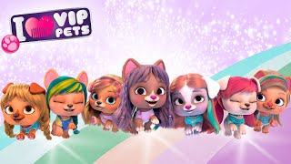 🛑 PRVNÍ SÉRIE 🛑 Tolik ZÁBAVY 🤩 VIP PETS 🌈 KOLEKCE EPIZOD ✨ POHÁDKY pro DĚTI v ČEŠTINĚ [upl. by Aisats335]