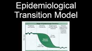 Epidemiological Transition Model Explained AP Human Geography Advanced Placement [upl. by Gracye853]