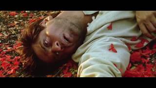 Devdas Movie End Scene  Very Emotional  Shahrukh Khan and Aishwariya Rai [upl. by Oiratno]