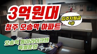 오송역 동아라이크텐 청주 3억원대 특별분양 아파트 [upl. by Aretha]