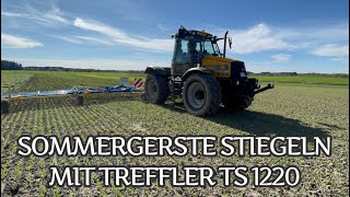 Sommergerste striegeln mit Treffler TS 1220 am JCB [upl. by Ikilisav665]