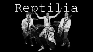 Reptilia  The Strokes Reptilia the Band Live Cover [upl. by Raseac]