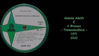 Antonio Adolfo E A Brazuca  Transamazônica  1971 Cut [upl. by Anatniuq]